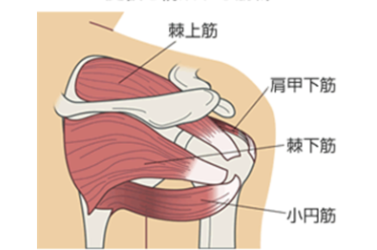25E8258725AA25E525BE258B25E725A5259E25E725B5258C